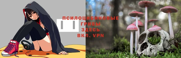 меф Алексин
