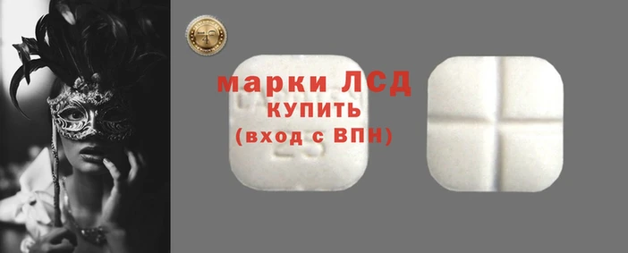 spice Аркадак