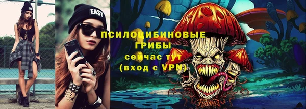 трава Арсеньев