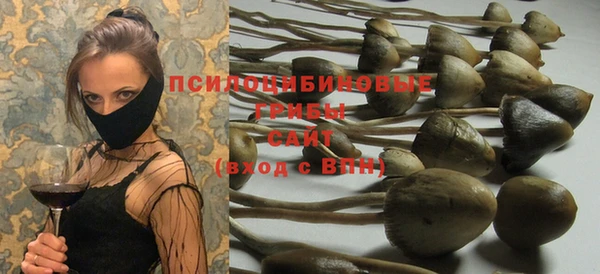 меф Алексин