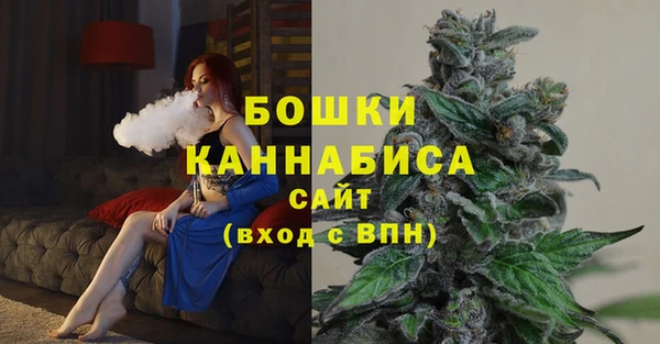 трава Арсеньев