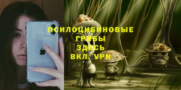 spice Аркадак