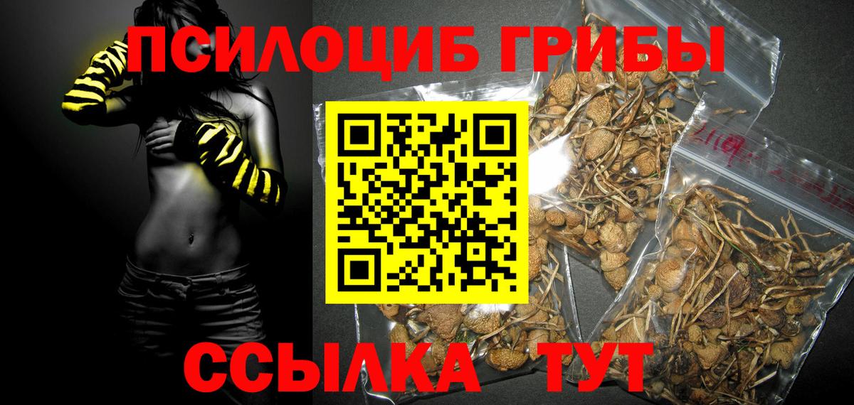 Псилоцибиновые грибы GOLDEN TEACHER  Вход с VPN  Кирово-Чепецк 
