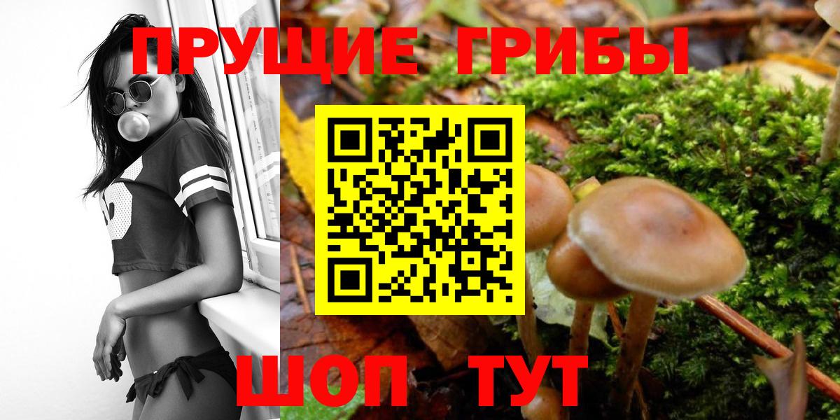 Галлюциногенные грибы прущие грибы Кирово-Чепецк