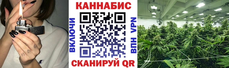 где найти наркотики  Кирово-Чепецк  Каннабис конопля 